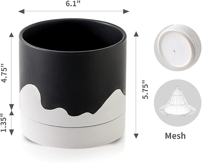Nihow Ceramic Plant Pot: 6 Inch Planter - Image 2