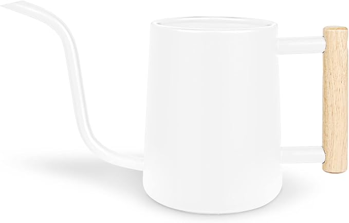 Watering Can Indoor Plants, 35 oz/1000 ml Metal Stainless Steel Watering Can Pot by Unknown