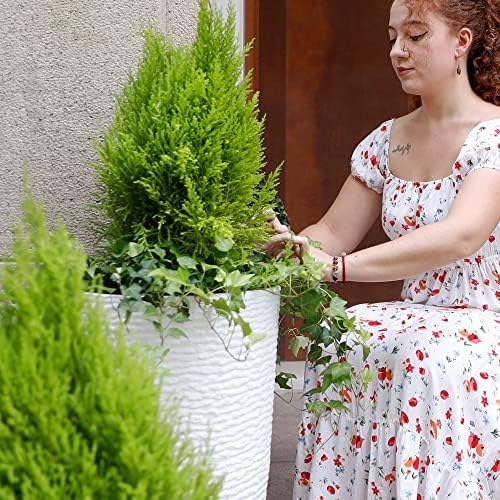 Worth Garden 2-Pack 21" H. White Tall Planters - Image 5