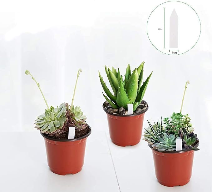 JERIA 100-Pack 4 Inch Plastic Plant Nursery Pots Come - Image 3