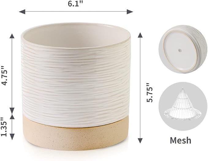 Nihow Ceramic Plant Pot: 6 Inch Planter - Image 2