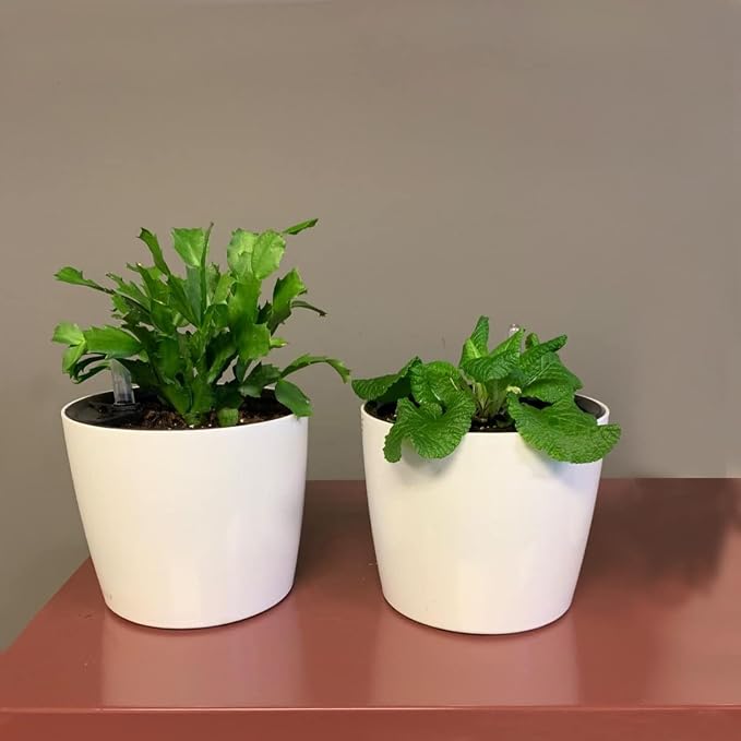 KINJOEK 3 Packs 7 Inch Self Watering Pot - Image 5