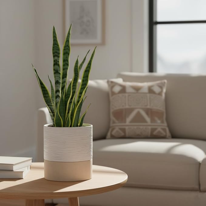 Nihow Self Watering Plant Pot: 6 Inch Ceramic Planter - Image 5
