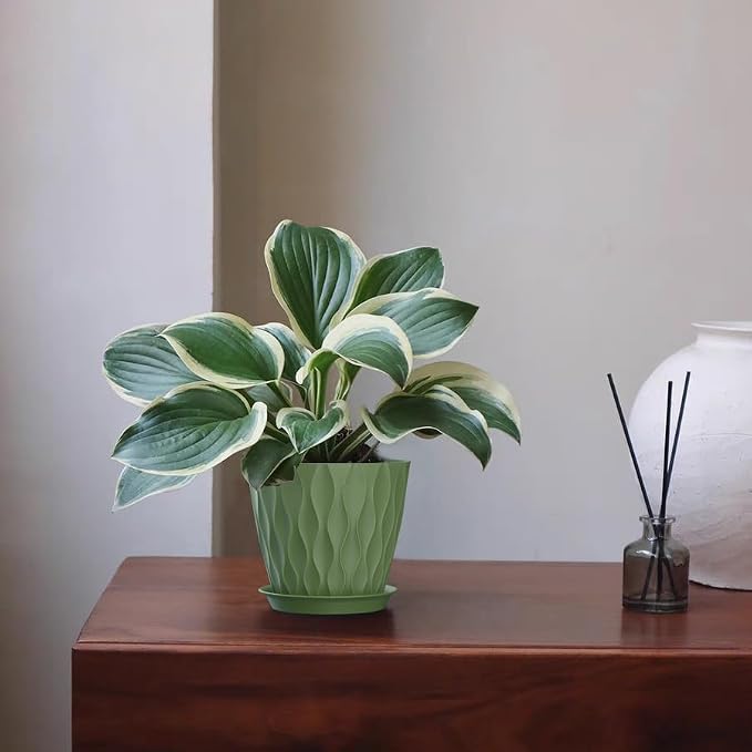 5 Inch Planter Pots, 6 Pack Indoor Planters, Small Flower Pots - Image 6