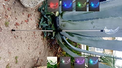 Solar Garden Stake Lights with Color Changing LED or Regular White LED by Ntertainment+House