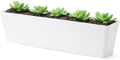 GREANER 16x3.8 Inch Window Boxes Planters, Indoor Succulent Cactus Flowers by GREANER