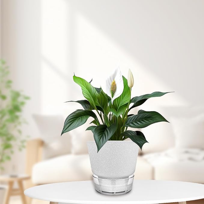 2024 Upgraded 5 Pack 6-Inch Self-Watering Planter Pots - Image 7