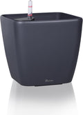 Dexceder 15x14 Self Watering Planter by Dexceder