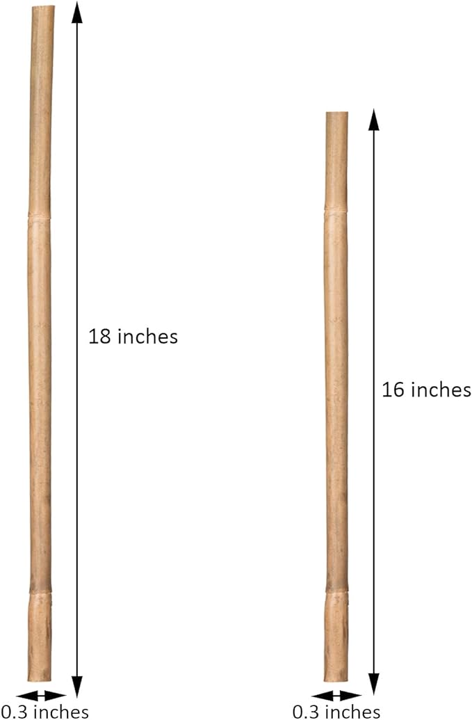 Plant Stakes Natural Garden Bamboo Sticks - Image 2