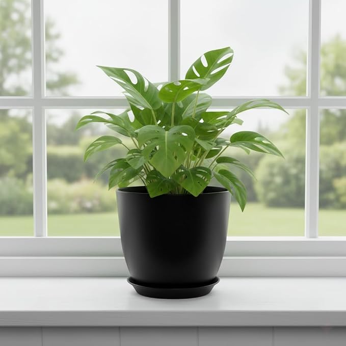 Plant Pots 8 Inch Set of 6, Flower Pots - Image 6