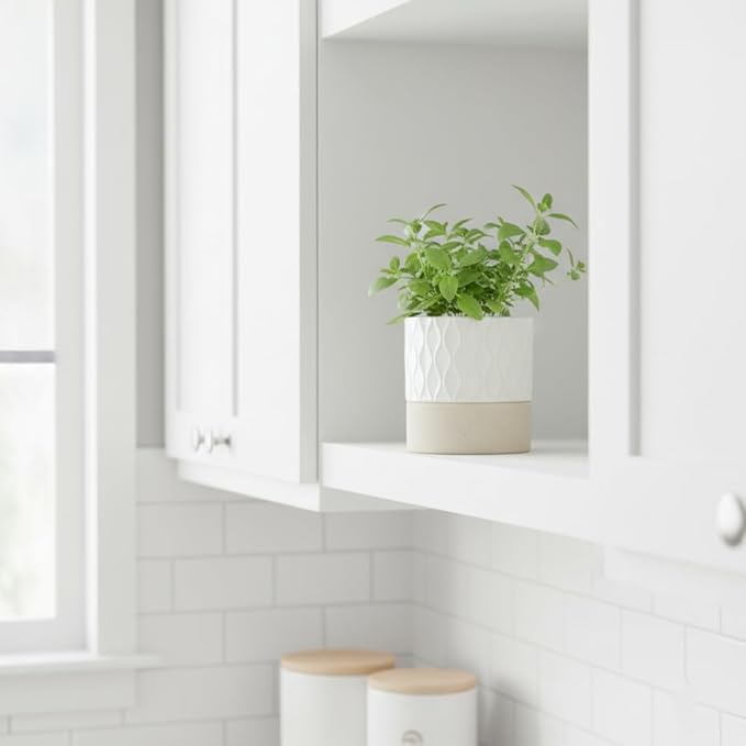 Nihow Self Watering Plant Pot: 4.5 Inch Ceramic Planter - Image 7