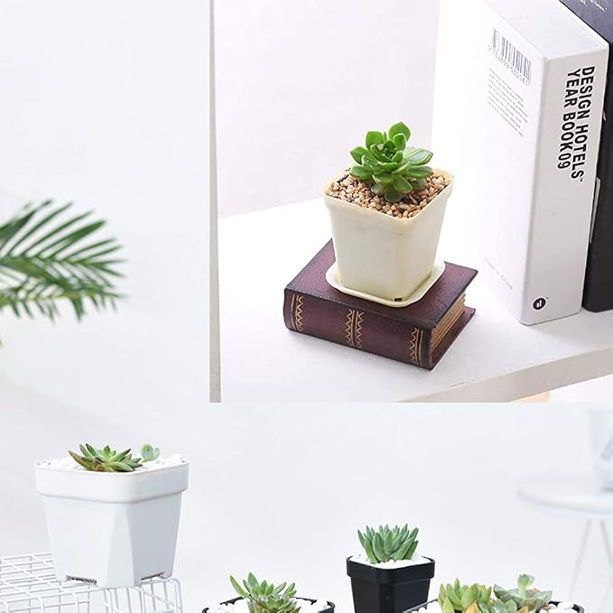 24 Pack 3 Inch White Square Plastic Plant Pots - Image 5