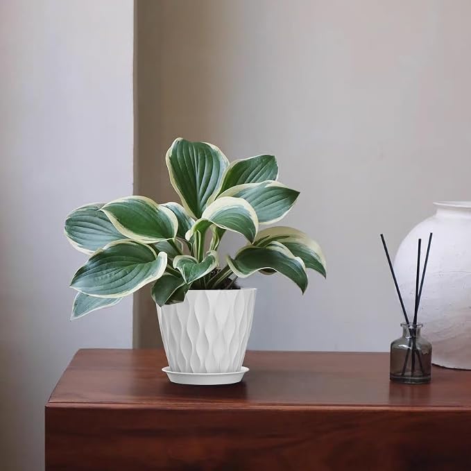5 Inch Planter Pots, 6 Pack Indoor Planters, Small Flower Pots - Image 6