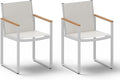 Outdoor Dining Chairs Set of 2, Aluminum Patio Dining Chiars by Oasbira