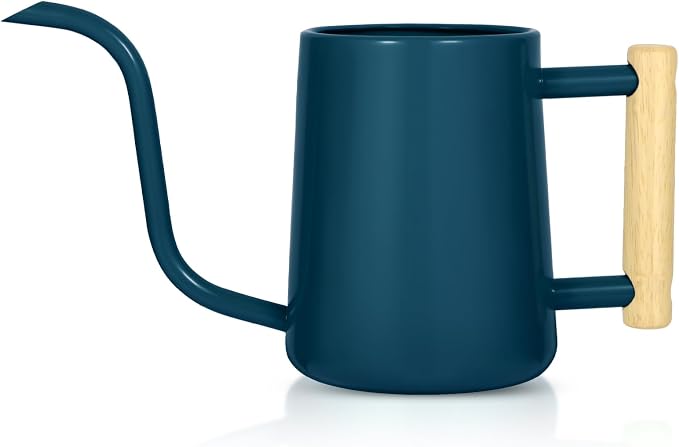 Watering Can Indoor Plants, 35 oz/1000 ml Metal Stainless Steel Watering Can Pot by Unknown