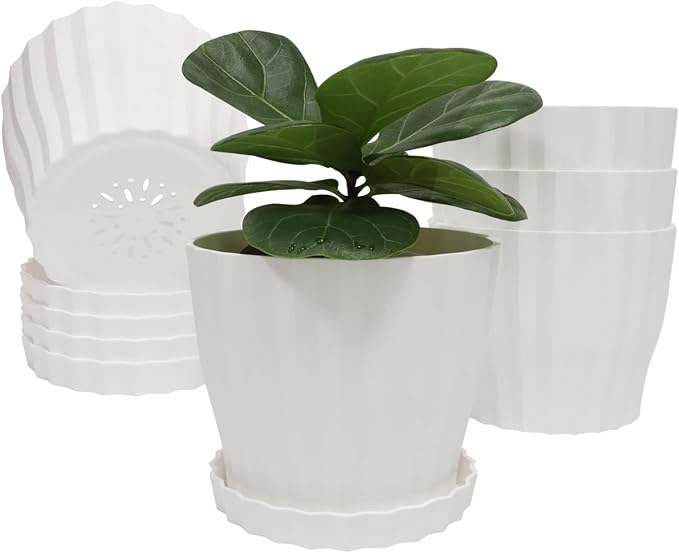 Flower Pots Outdoor Clearance 6 inch Set of 5 Succulent Planters by KAHEAUM
