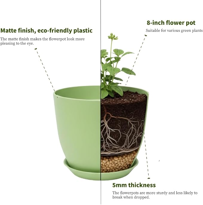 Plant Pots 8 Inch Set of 6, Flower Pots - Image 4
