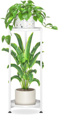 iDavosic.ly 2 Tier Corner Plant Stand Indoor, Tall Vertical Metal Flower Heavy by iDavosicly
