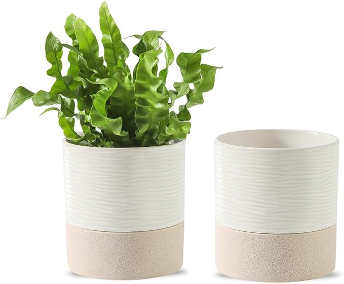 Nihow Self Watering Plant Pot for Indoor Plants: 4.5 Inch Ceramic Planter by Nihow
