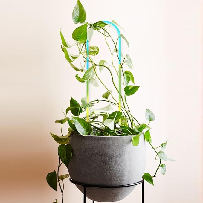 3 Pack U-Shaped Colorful Acrylic Plant Trellis - Image 5