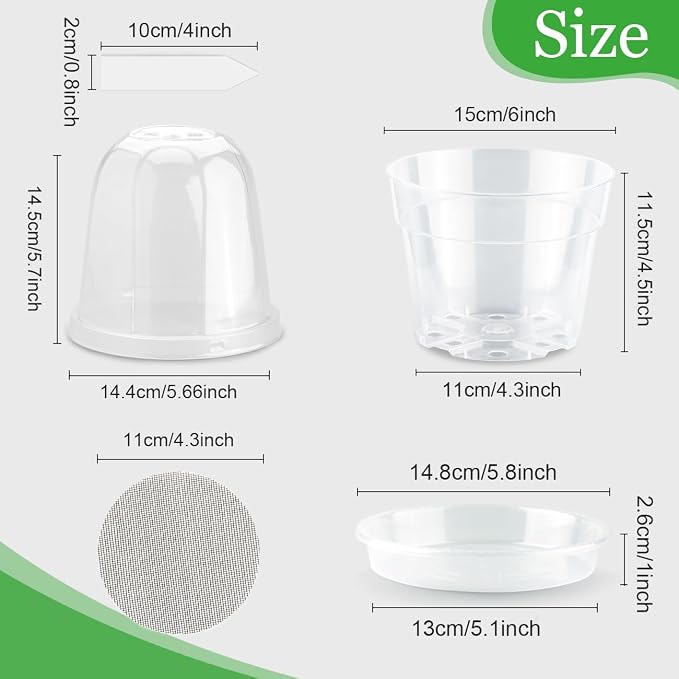 BTPLASTIK 6 Inch Clear Nursery Pots - Image 2