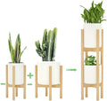 MUDEELA 2 Pack Indoor Plant Stands, 2 Tier Tall Plant Stand 30 inches, Mid by MUDEELA
