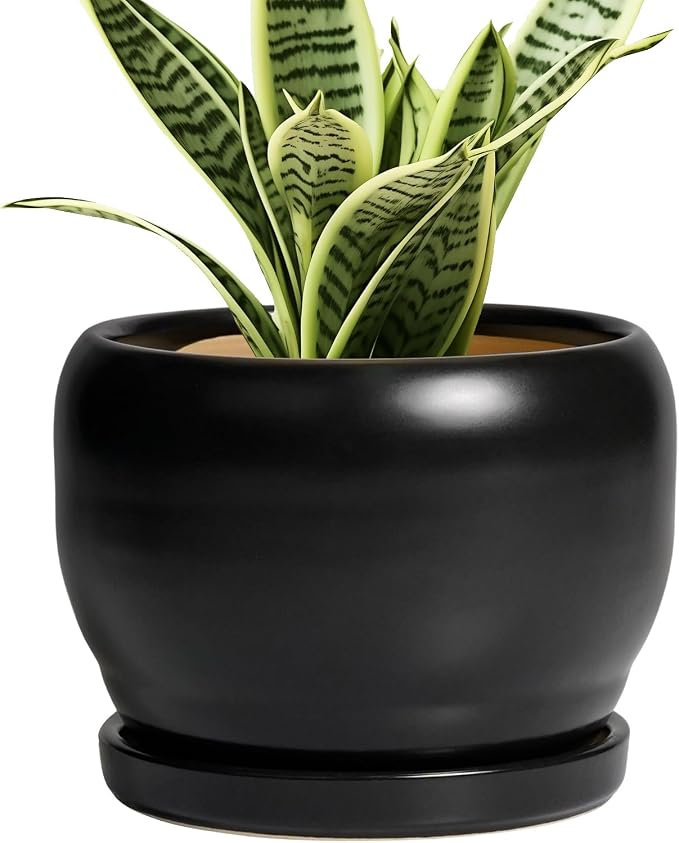 SQOWL Ceramic Plant Pot by SQOWL
