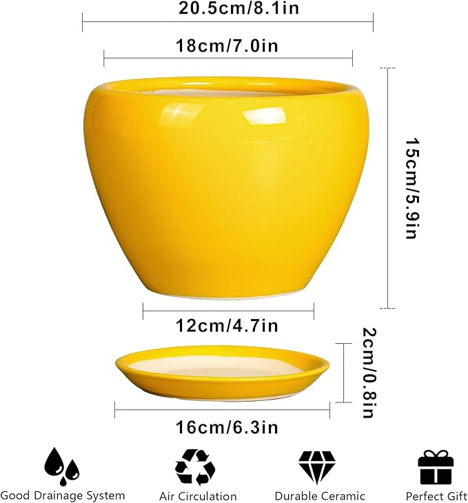 8 Inch Plant Pot - Image 3