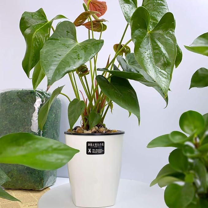 OJYUDD 8 Pack 4 Inch Self Watering Plastic Planter - Image 7