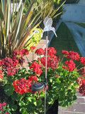 Solar Garden Stake Lights with Color Changing LED or Regular White LED by Ntertainment+House