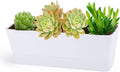 GREANER Herb Planter with Tray, 1 Pack 12x3.8 Inch Rectangle Window Box by GREANER