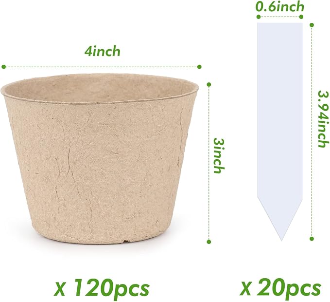 homenote Peat Pots - Image 4