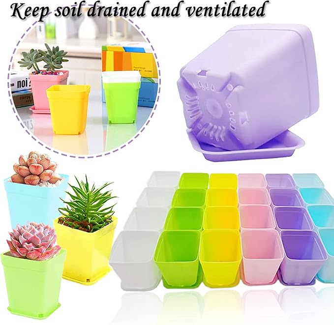 Haawooky 48 PCS 3 Inch Colorful Plastic Plant Pot, Plastic Square Nursery Pots - Image 5