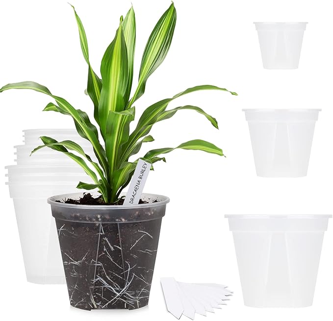 GREENPARA Transparent Plastic Planter 4/5 /6 inch Plant Nursery Pots by GREENPARA