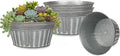vensovo 10 Inches Silver Metal Rustic Plant Pots by vensovo