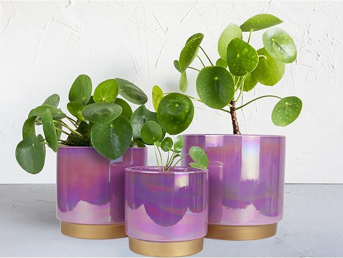 Gepege Ceramic Pots for Plants, Rainbow Pearl Glaze Planter - Image 4