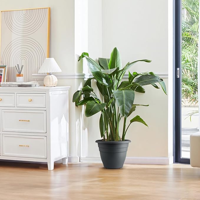 12 Inch Plant Pots, Large Planters - Image 6