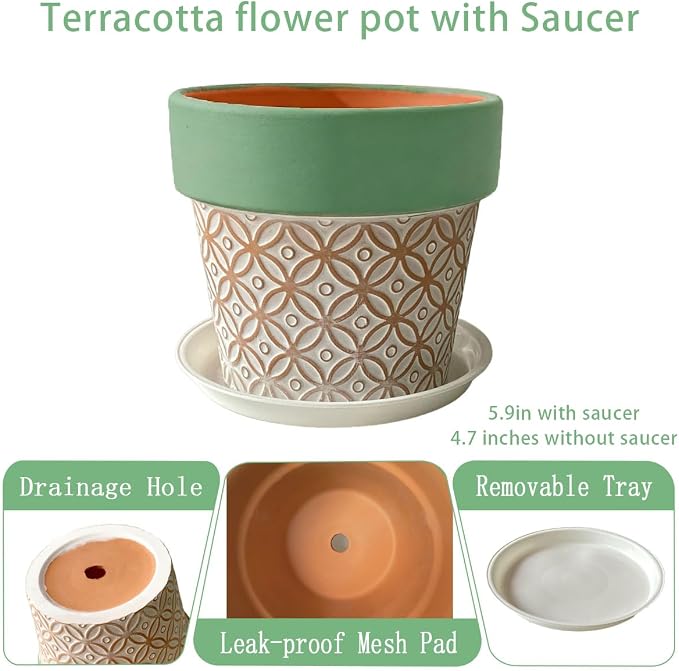 Terracotta Plant Pots Set of 2-4.7 Inch Vintage Pattern Clay Flowerpots - Image 2