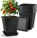 BTPLASTIK 9 Inch Square Planters by BTPLASTIK