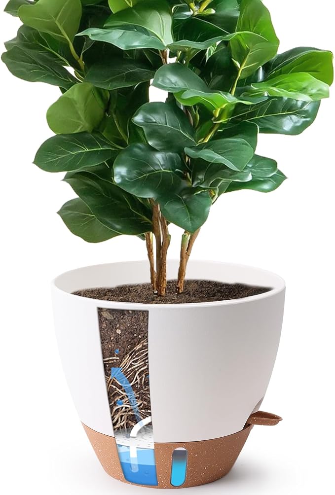 T4U 12 Inch Self Watering Pot by T4U