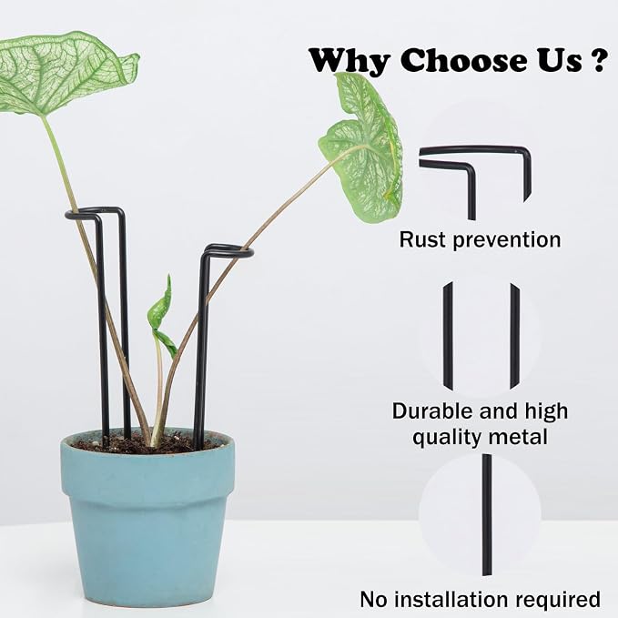 10 Pack Indoor Plant Support for Monstera Trellis Stakes and Stem Holder - Image 6