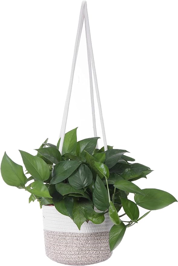Hanging Planter Basket Jute Rope Woven Plant Hangers Indoor Hanging Plant by RUIZHIXUAN