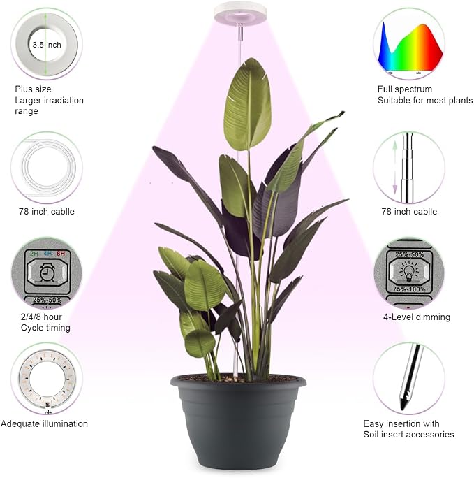 2 Pack 11 Inch Plant Pots with LED Grow Lights, Drainage Holes & Plug, Soil - Image 5