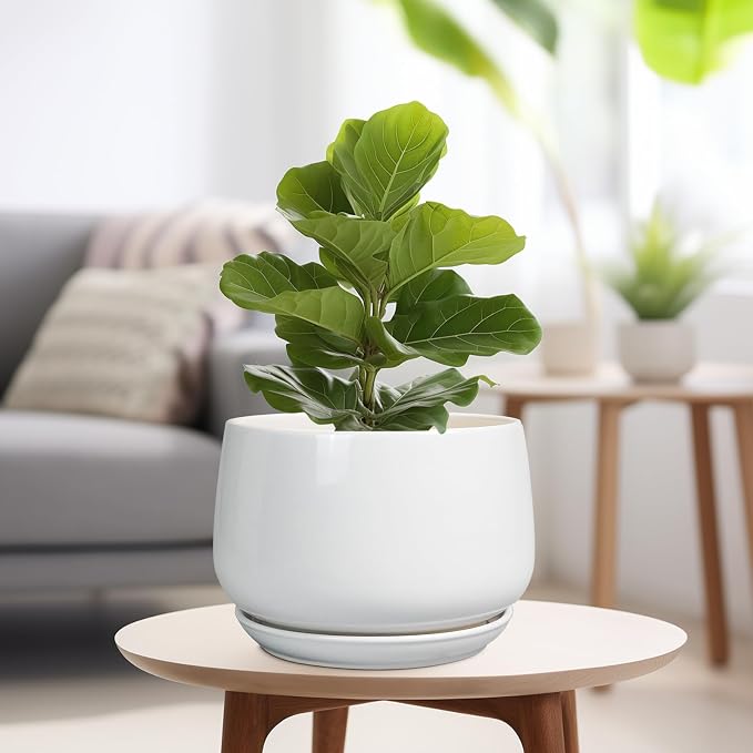 G EPGardening Ceramic Planter 9 Inch - Image 4