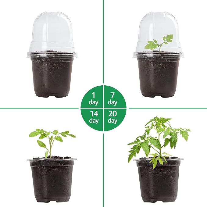 30 Packs 4 Inch Reinforced Clear Nursery Pots - Image 7