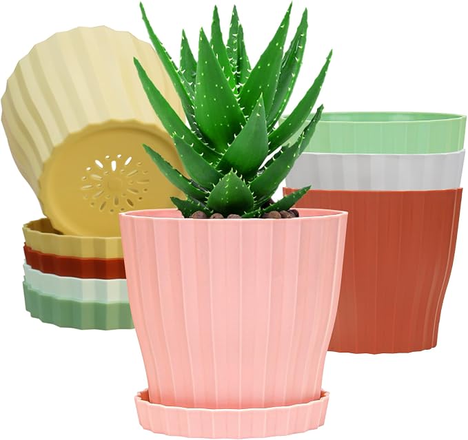6 inch Flower Pots for Plants by KAHEAUM