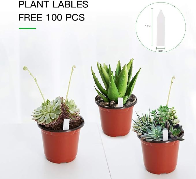 JERIA 100-Pack 6 Inch Plastic Nursery Pots Come - Image 3