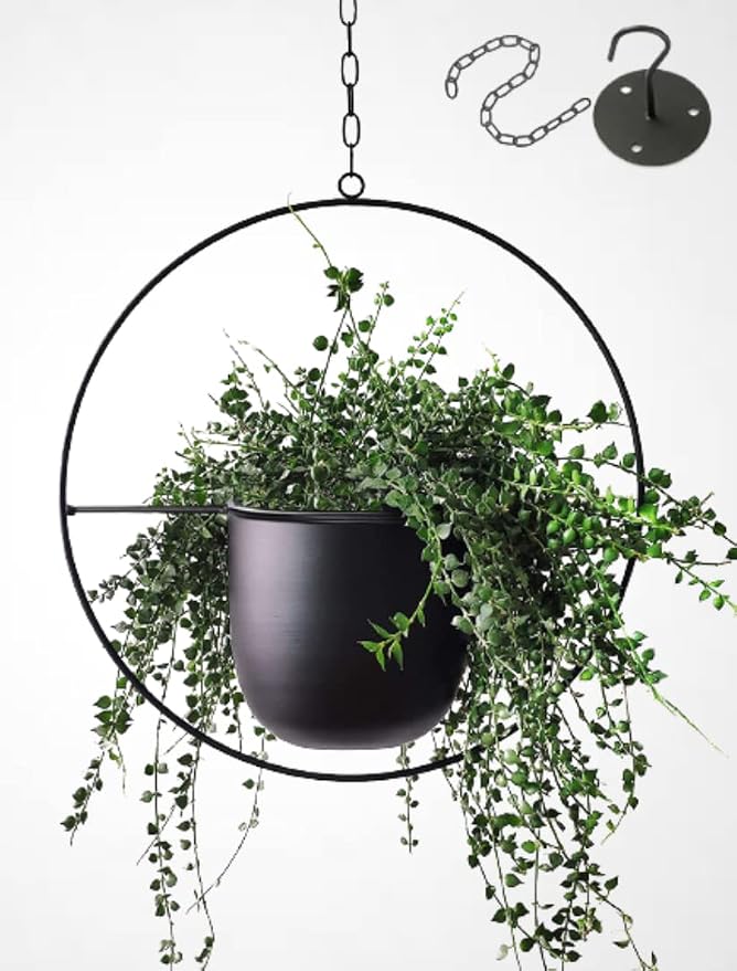 Hanging Planters for Indoor Plants by Shineloha