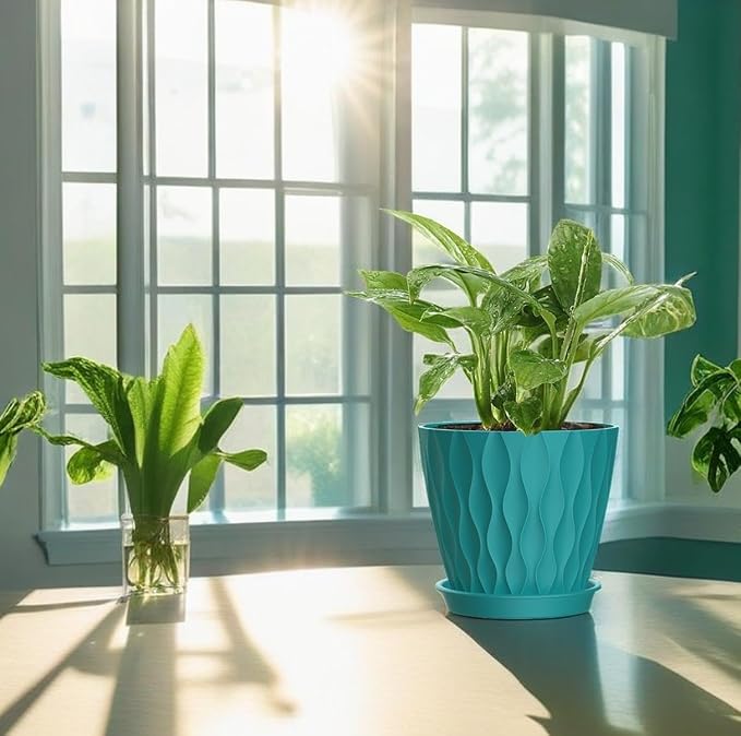 4 Inch Plant Pots, 6 Pack Indoor Flower Pots, Planters - Image 6