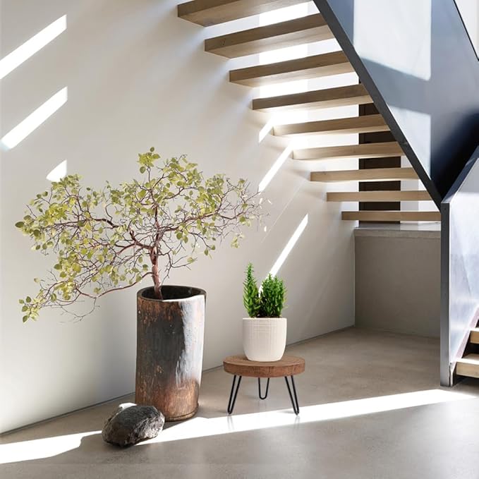 Plant Stand Indoor Outdoor, Wooden plant Stool, Mid Century Plant Stand - Image 5